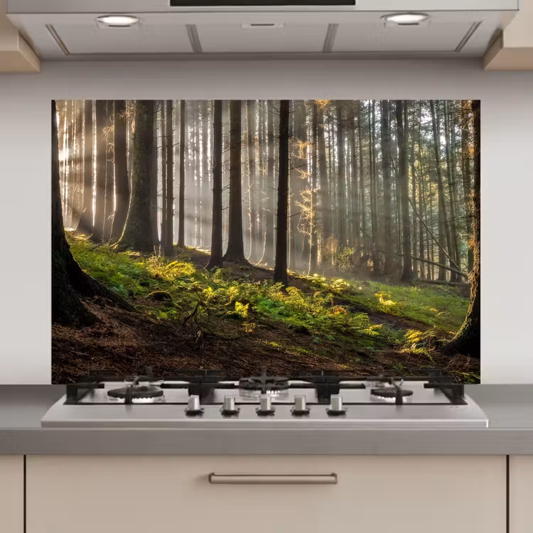 Spatscherm keuken - Zon - Takken - Bomen - Bos - Natuur — 1