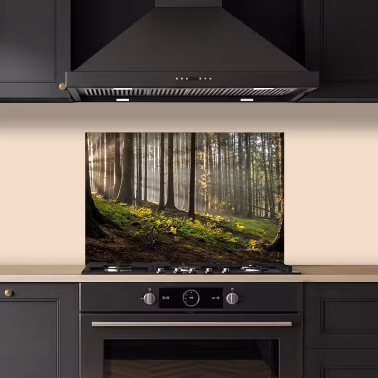 Spatscherm keuken - Zon - Takken - Bomen - Bos - Natuur — 2