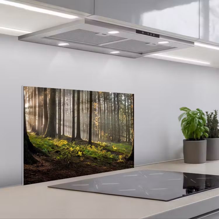 Spatscherm keuken - Zon - Takken - Bomen - Bos - Natuur — 5