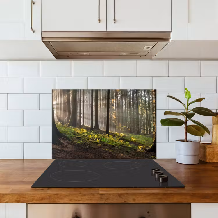 Spatscherm keuken - Zon - Takken - Bomen - Bos - Natuur — 6
