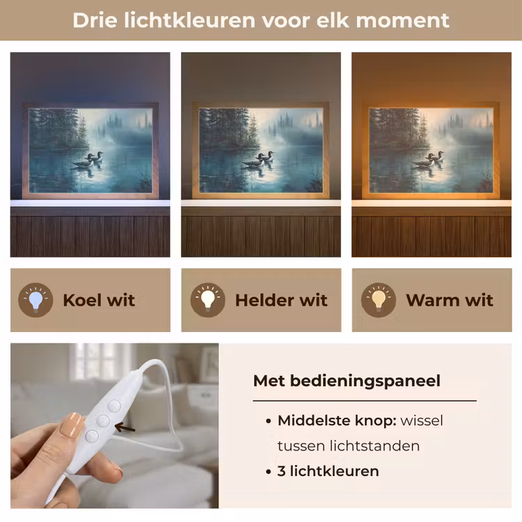 Tafellamp - Bos - Water - Eenden - Mistig — 6