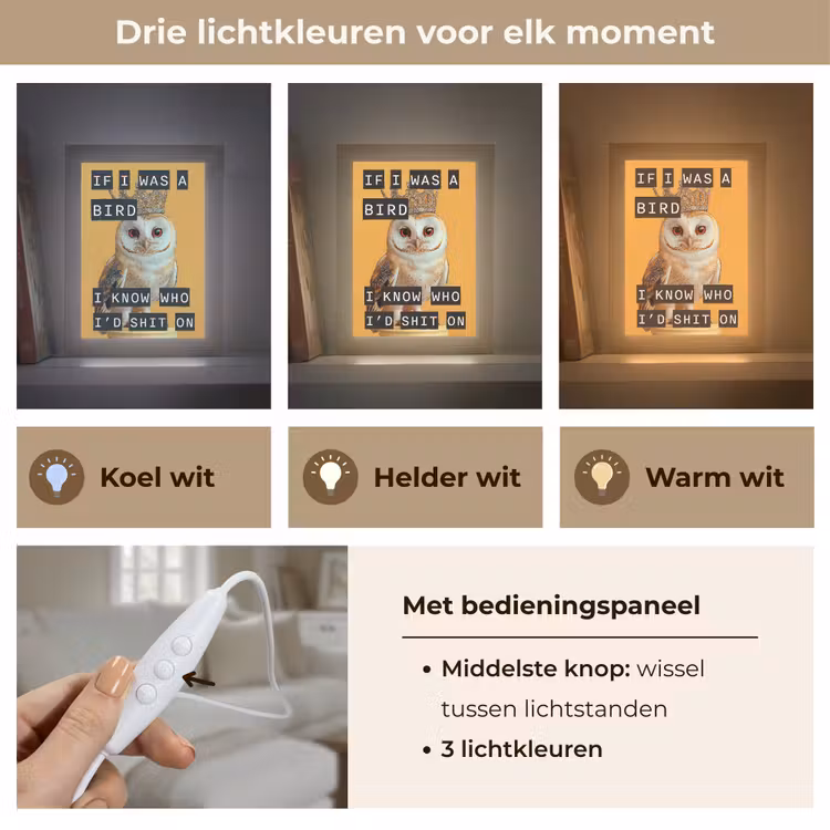 Tafellamp - Geel - Uil - Vogel - Decoratie — 6