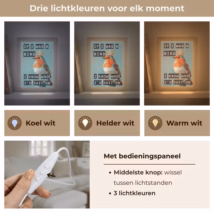 Tafellamp - Roodborstje - Vogel - Blauw - Decoratie — 6
