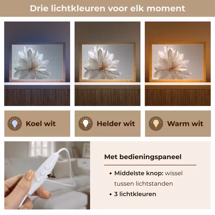 Tafellamp - Bloem - Wit - Neutraal — 6