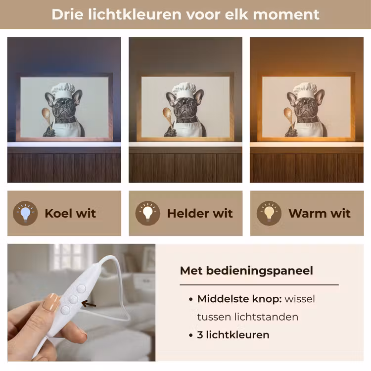 Tafellamp - Bril - Hond - Kok — 6