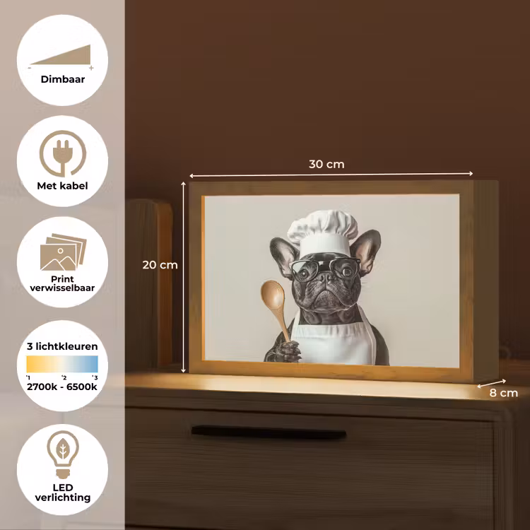 Tafellamp - Bril - Hond - Kok — 7