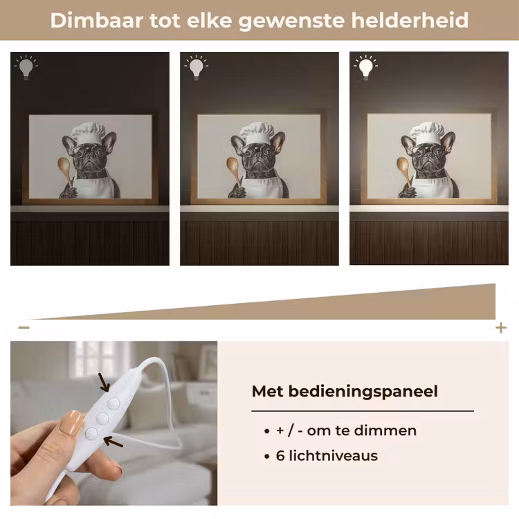 Tafellamp - Bril - Hond - Kok — 8