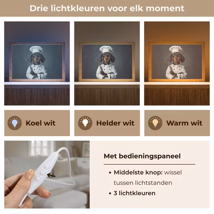 Tafellamp - Hond - Garde - Kok — 6