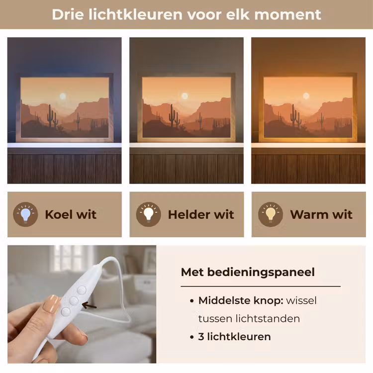 Tafellamp - Landschap - Woestijn - Cactussen - Zon — 6