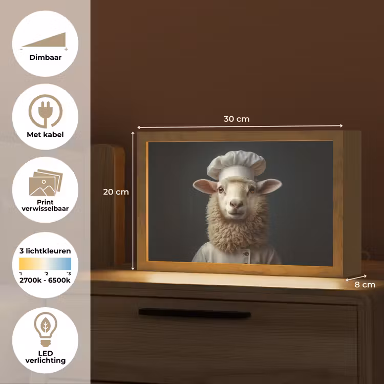 Tafellamp - Schaap - Wol - Kok — 7