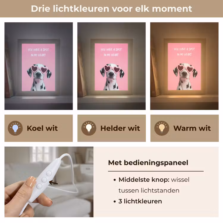 Tafellamp - Hartjes - Hond - Valentijn - Roze — 6