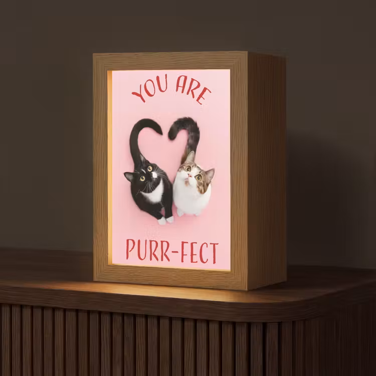 Tafellamp - Kat - Hart - Tekst - Valentijn — 1