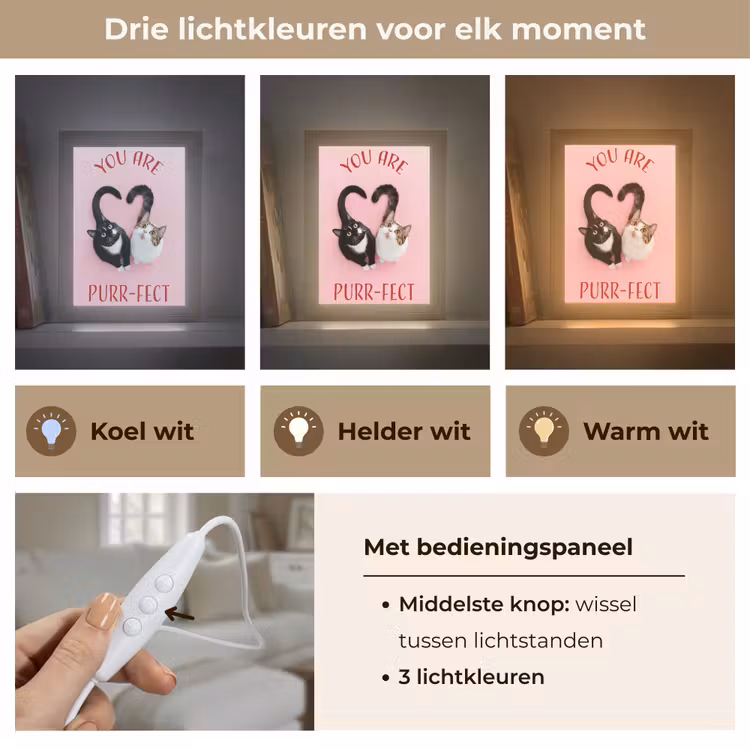 Tafellamp - Kat - Hart - Tekst - Valentijn — 6