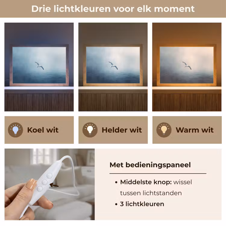 Tafellamp - Meeuw - Wit - Zee - Mistig — 6