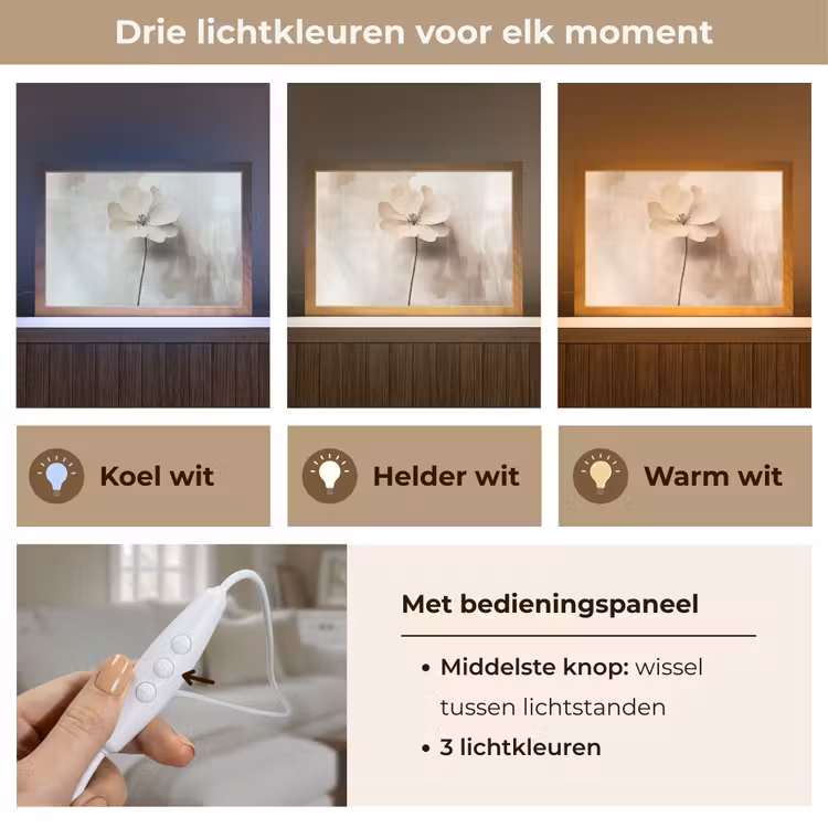 Tafellamp - Bloem - Beige - Verf - Schaduw — 6