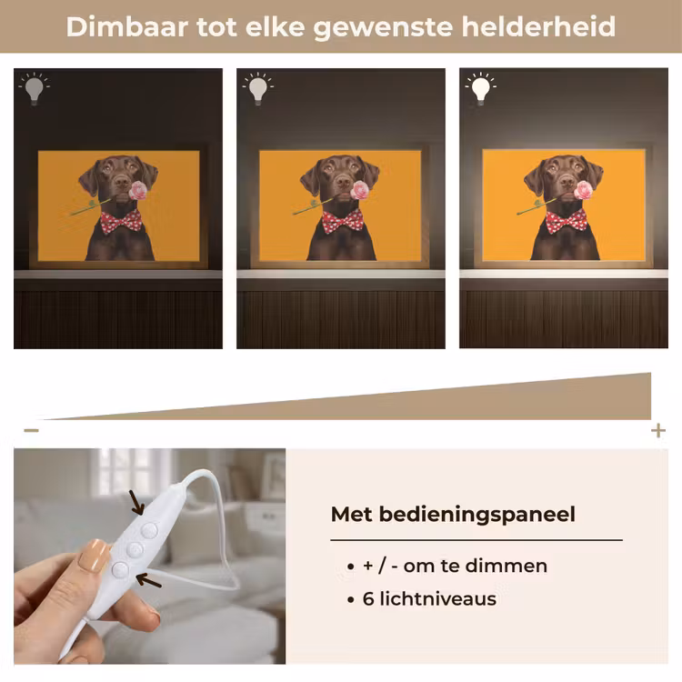 Tafellamp - Hond - Oranje - Roos - Valentijn — 8