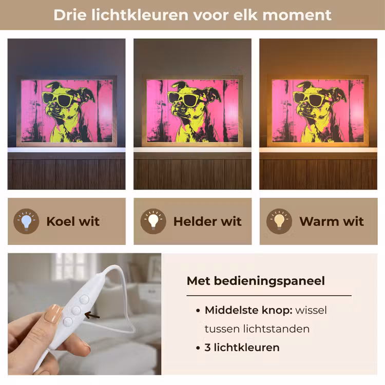 Tafellamp - Hond - Zonnebril - Roze - Art — 6