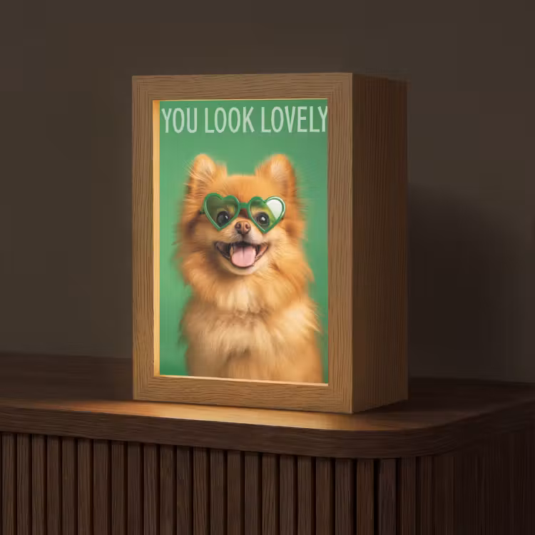 Tafellamp - Hond - Zonnebril - Valentijn - Love — 1