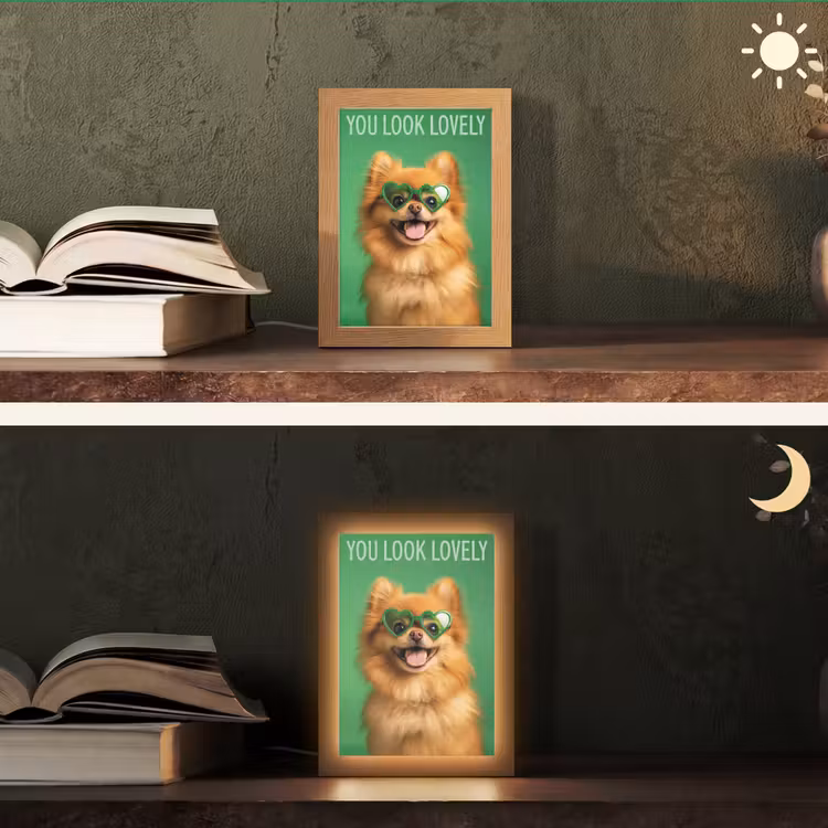 Tafellamp - Hond - Zonnebril - Valentijn - Love — 5