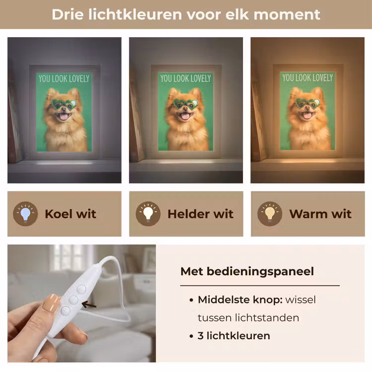Tafellamp - Hond - Zonnebril - Valentijn - Love — 6