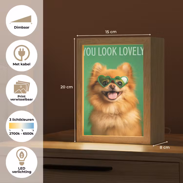 Tafellamp - Hond - Zonnebril - Valentijn - Love — 7