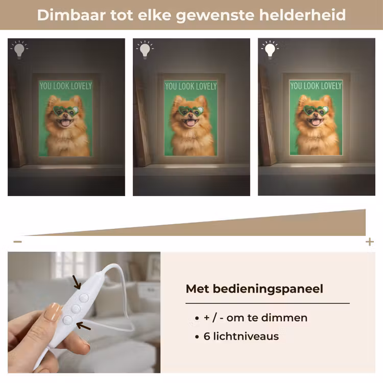 Tafellamp - Hond - Zonnebril - Valentijn - Love — 8
