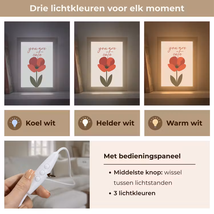 Tafellamp - Klaproos - Bloem - Rood - Valentijn — 6