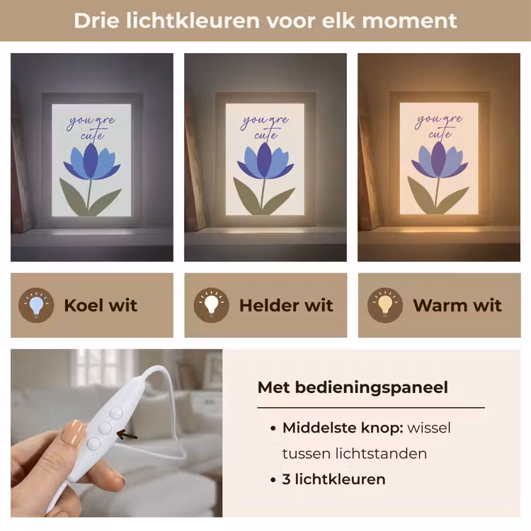 Tafellamp - Korenbloem - Valentijn - Bloem - Blauw — 6