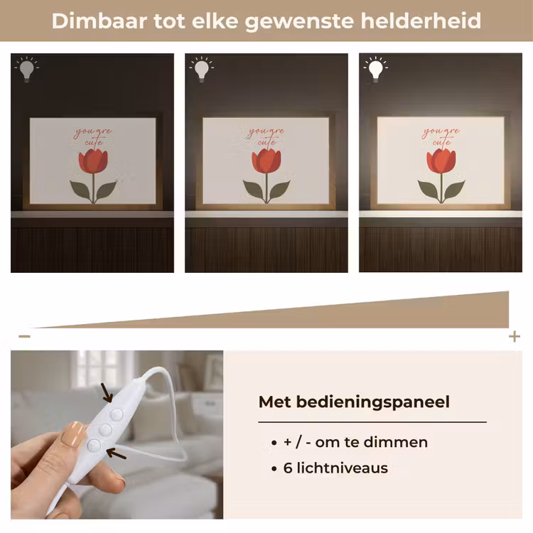 Tafellamp - Roos - Rood - Bloem - Valentijn — 8