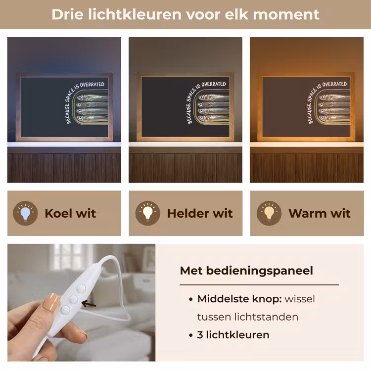 Tafellamp - Sardines - Tekst - Vis - Blik — 6