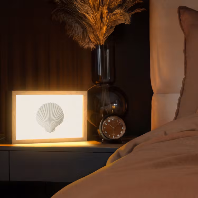 Tafellamp - Schelp - Minimalistisch - Wit — 2