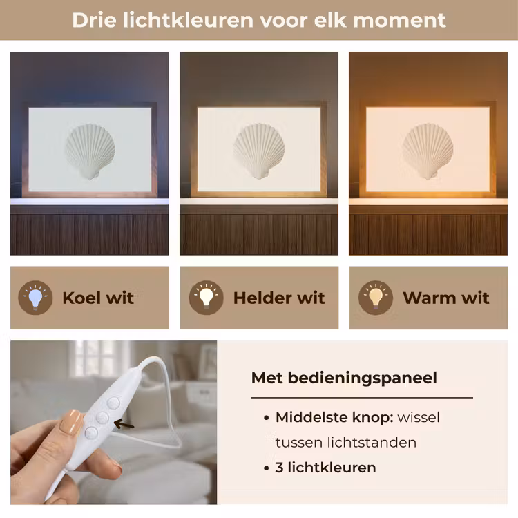 Tafellamp - Schelp - Minimalistisch - Wit — 6