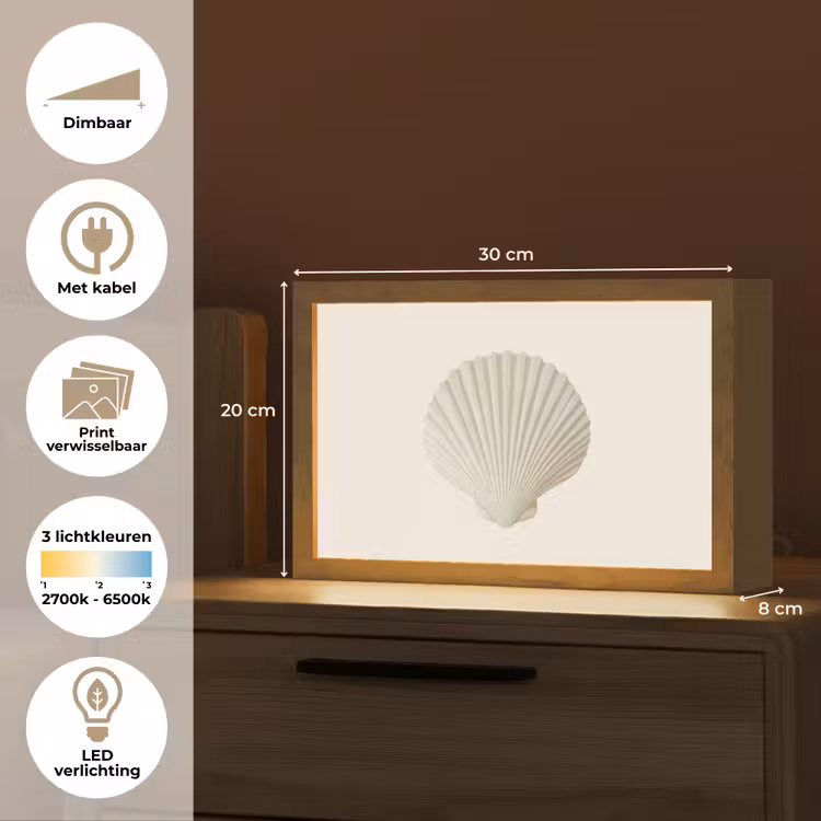 Tafellamp - Schelp - Minimalistisch - Wit — 7