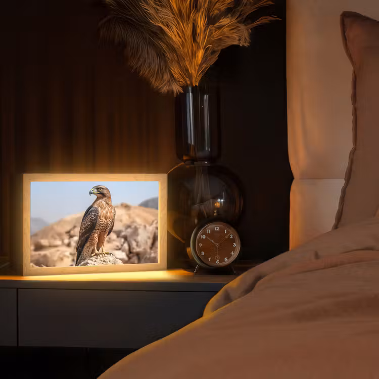 Tafellamp - Valk - Vogel - Rots - Macht — 2
