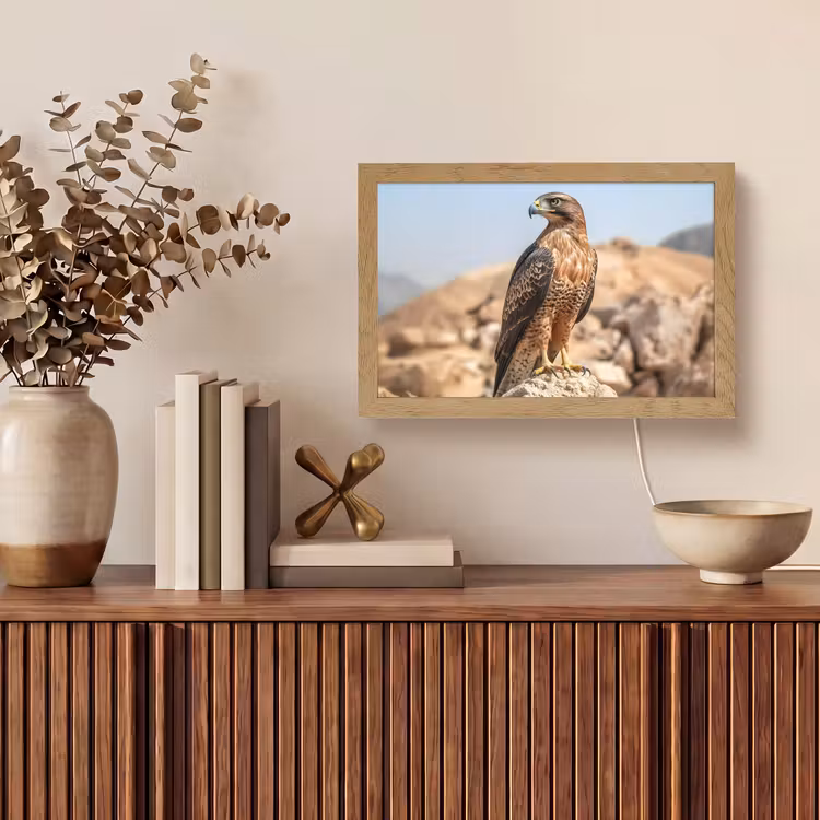 Tafellamp - Valk - Vogel - Rots - Macht — 3