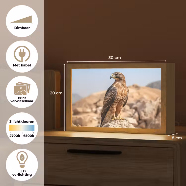 Tafellamp - Valk - Vogel - Rots - Macht — 7