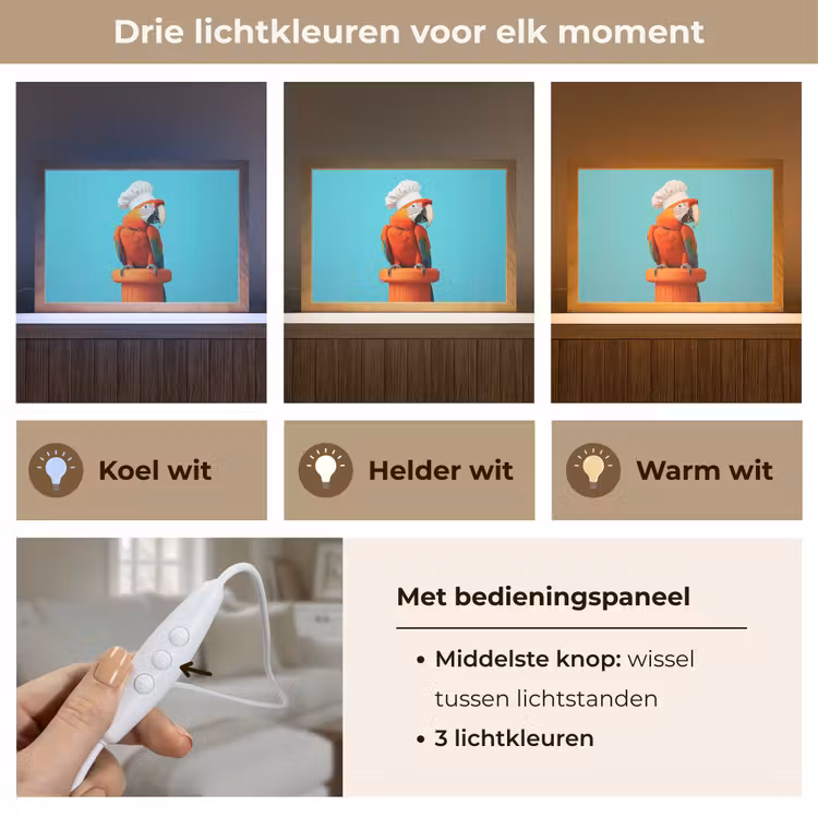 Tafellamp - Ara - Koksmuts - Sokkel - Grappig — 6