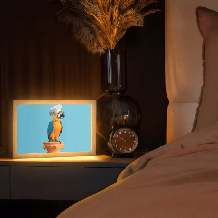 Tafellamp - Papegaai - Koksmuts - Grappig - Vogel — 2