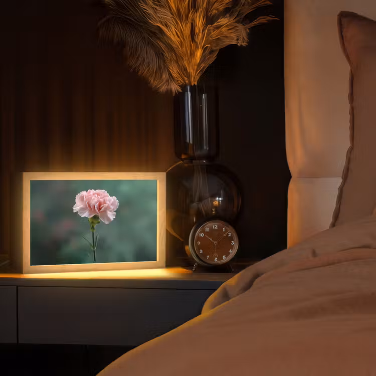 Tafellamp - Anjer - Roze - Bloemblaadjes — 2