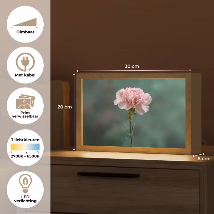 Tafellamp - Anjer - Roze - Bloemblaadjes — 7