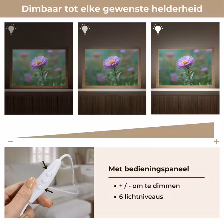 Tafellamp - Aster - Paars - Bloem - Blaadjes — 8