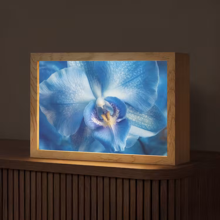 Tafellamp - Blauw - Orchidee - Elegeant — 1