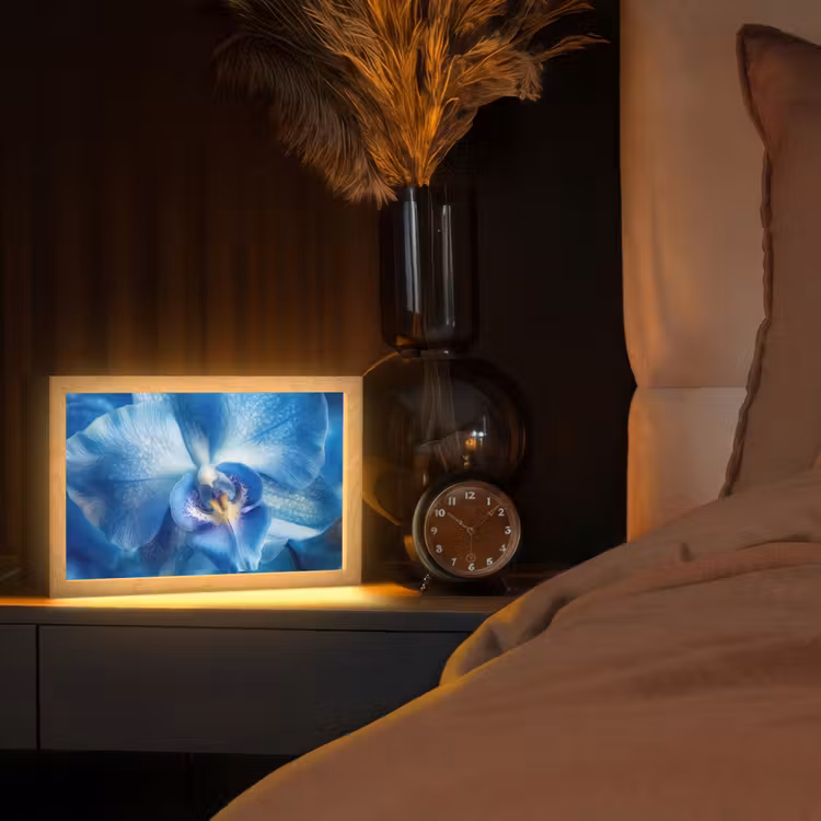 Tafellamp - Blauw - Orchidee - Elegeant — 2