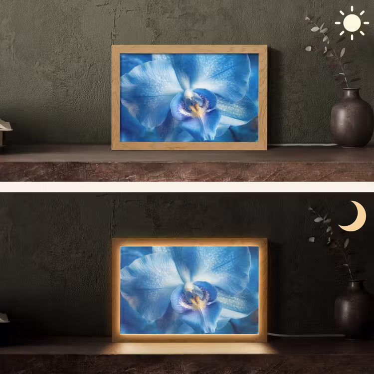 Tafellamp - Blauw - Orchidee - Elegeant — 5