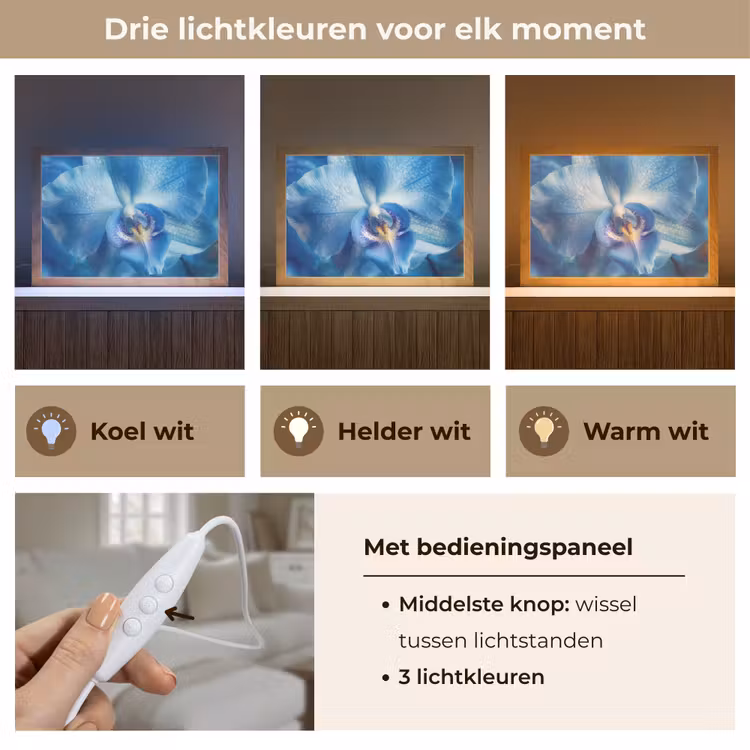 Tafellamp - Blauw - Orchidee - Elegeant — 6