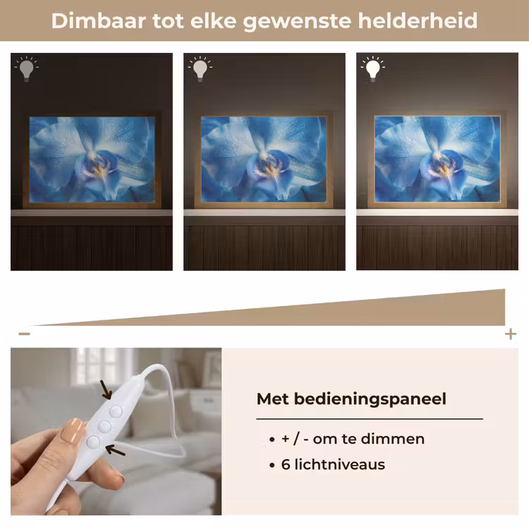 Tafellamp - Blauw - Orchidee - Elegeant — 8