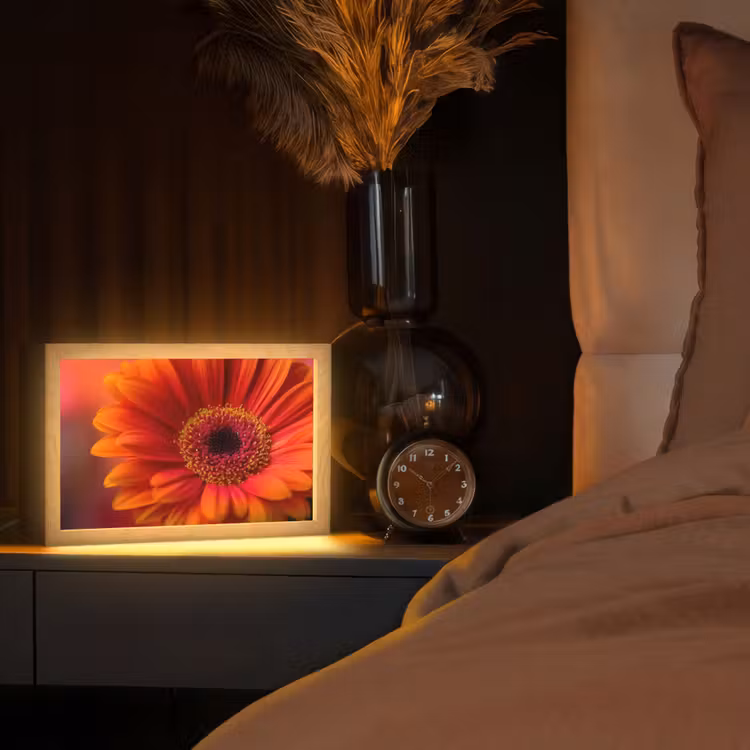 Tafellamp - Oranje - Gerbera - Intens — 2