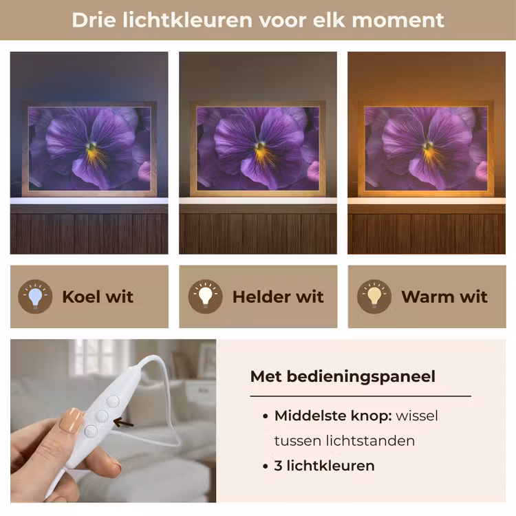 Tafellamp - Paars - Viool - Diepte — 6