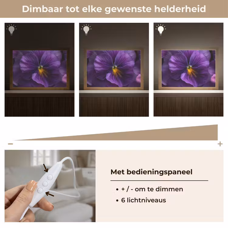 Tafellamp - Paars - Viool - Diepte — 8