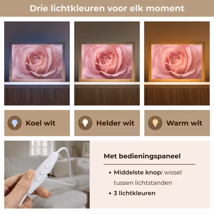 Tafellamp - Roze - Roos - Romantisch — 6